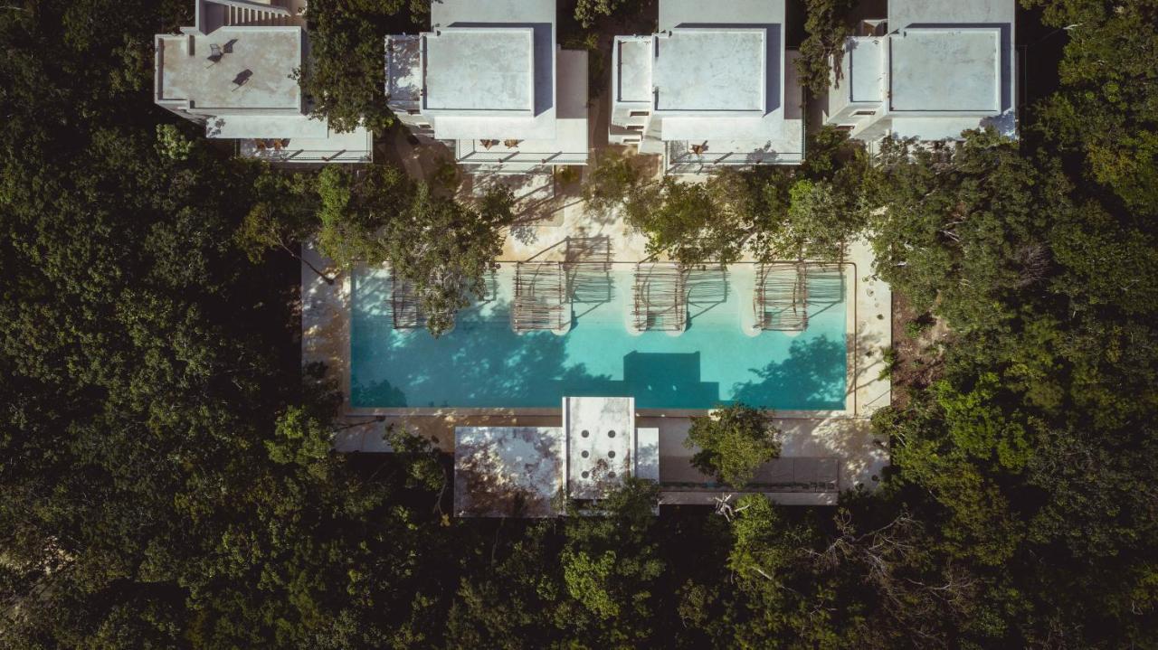 Hotel Holistika 툴룸 외부 사진